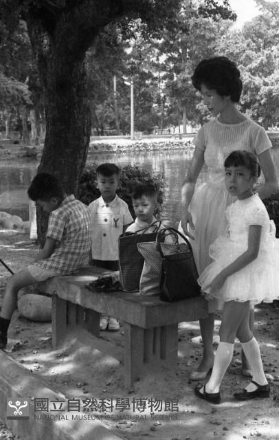 1950至2006年臺灣常民生活藏品圖，第1張