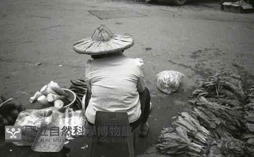 1950至2006年臺灣常民生活藏品圖，第1張