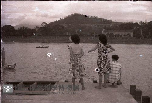 1950至2006年臺灣常民生活藏品圖，第1張