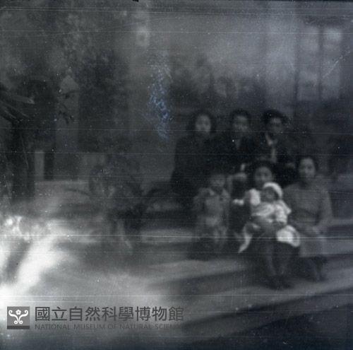 1950至2006年臺灣常民生活藏品圖，第1張