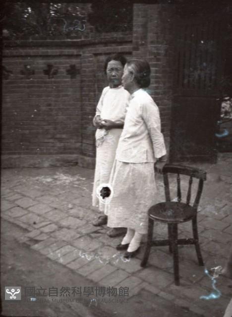 1950至2006年臺灣常民生活藏品圖，第1張