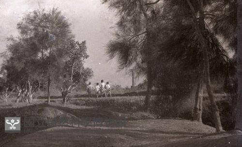 1950至2006年臺灣常民生活藏品圖，第1張