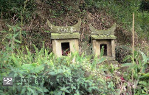 1950至2006年臺灣常民生活藏品圖，第1張