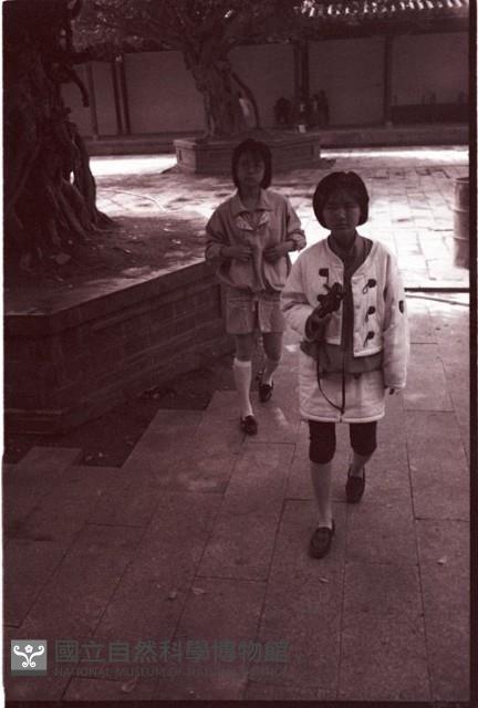 1950至2006年臺灣常民生活藏品圖，第1張