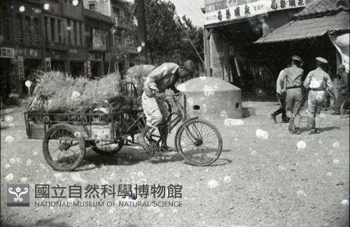 1950至2006年臺灣常民生活藏品圖，第1張
