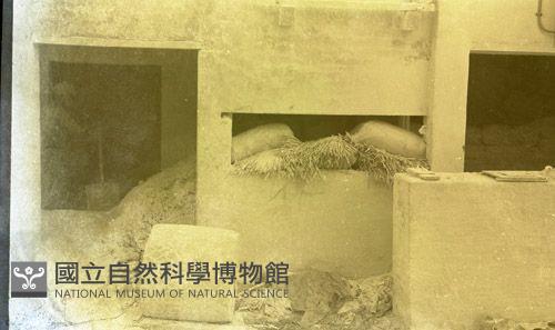 1950至2006年臺灣常民生活藏品圖，第1張
