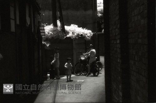 1950至2006年臺灣常民生活藏品圖，第1張