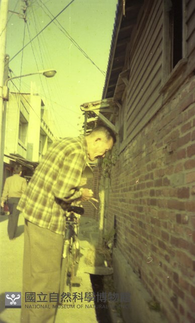1950至2006年臺灣常民生活藏品圖，第1張