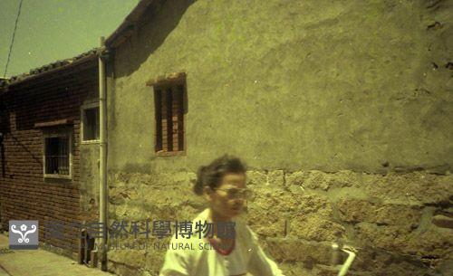 1950至2006年臺灣常民生活藏品圖，第1張