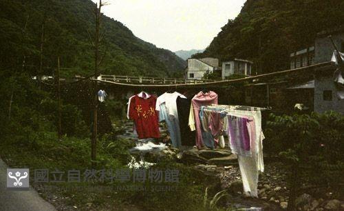 1950至2006年臺灣常民生活藏品圖，第1張