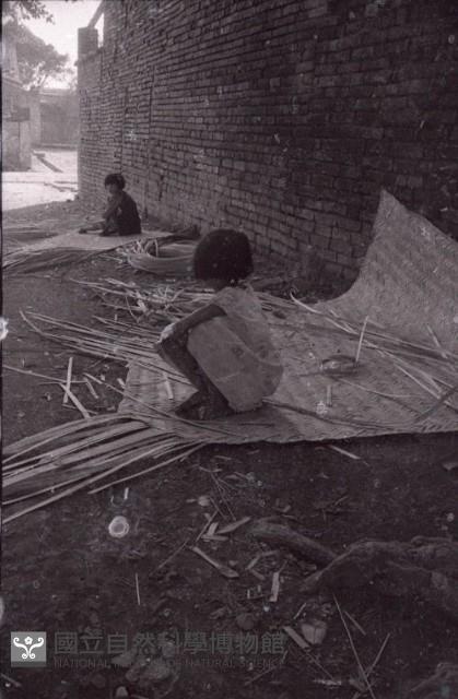 1950至2006年臺灣常民生活藏品圖，第1張