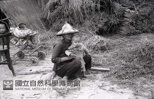 1950至2006年臺灣常民生活藏品圖，第1張