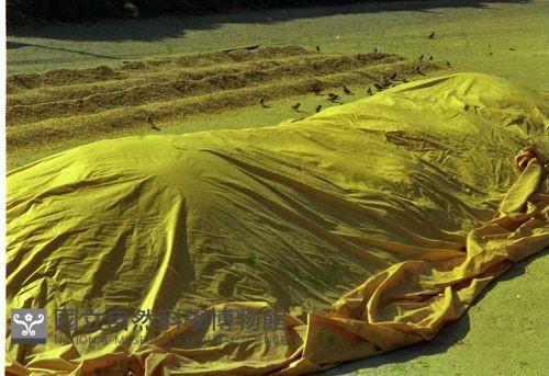 1950至2006年臺灣常民生活藏品圖，第1張