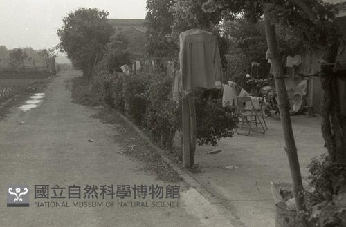 1950至2006年台灣常民生活藏品圖，第1張