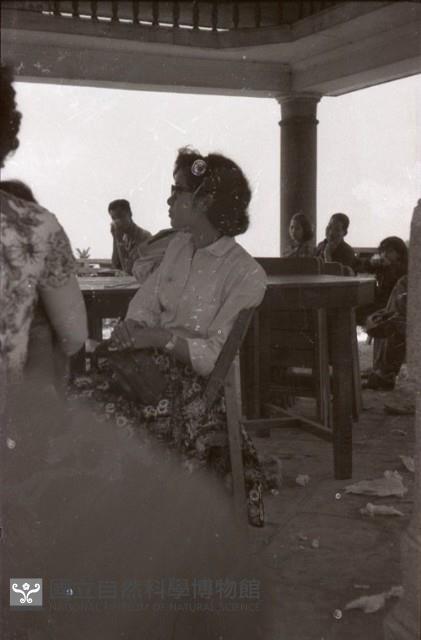 1950至2006年臺灣常民生活藏品圖，第1張