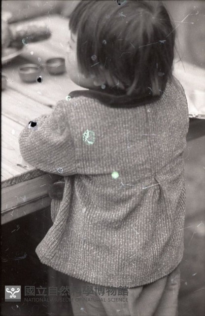 1950至2006年臺灣常民生活藏品圖，第1張