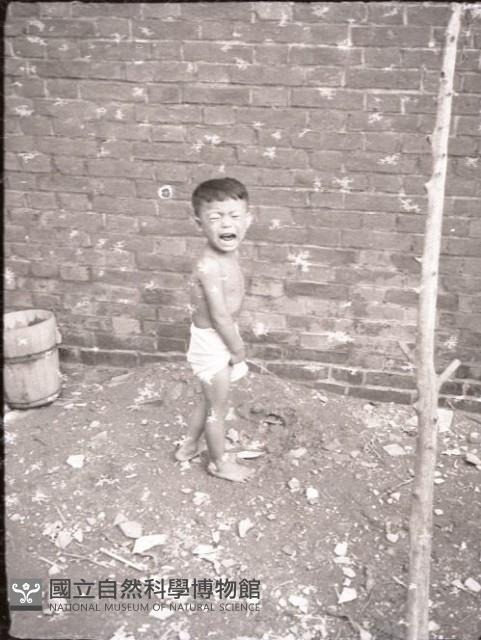 1950至2006年臺灣常民生活藏品圖，第1張