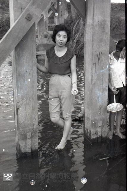 1950至2006年臺灣常民生活藏品圖，第1張