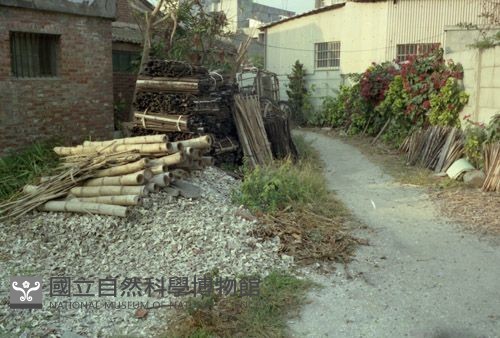 1950至2006年臺灣常民生活藏品圖，第1張