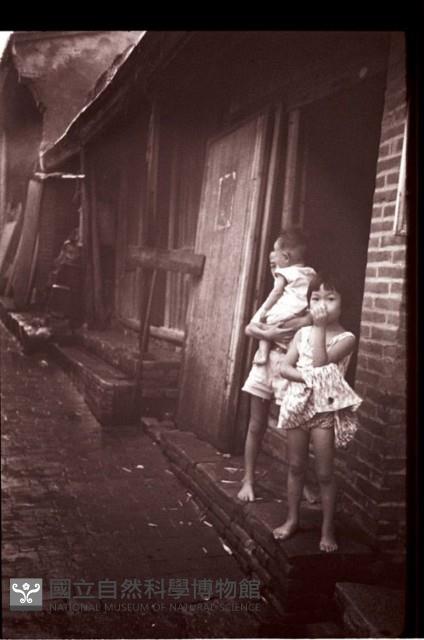 1950至2006年臺灣常民生活藏品圖，第1張