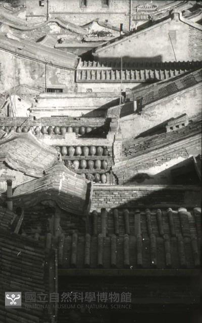 1950至2006年台灣常民生活(No:156 黑)藏品圖，第1張