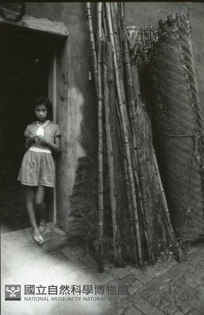 1950至2006年臺灣常民生活藏品圖，第1張