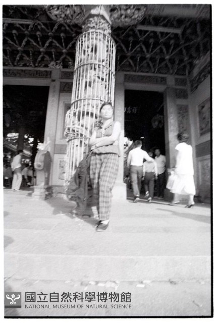 1950至2006年臺灣常民生活藏品圖，第1張