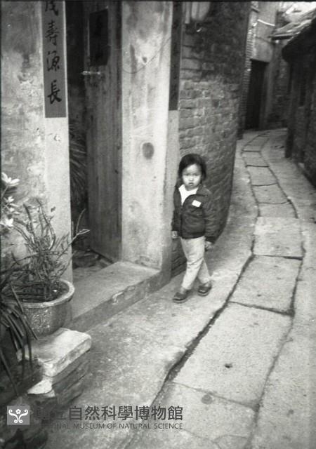 1950至2006年臺灣常民生活藏品圖，第1張