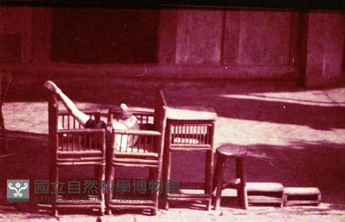 1950至2006年臺灣常民生活藏品圖，第1張