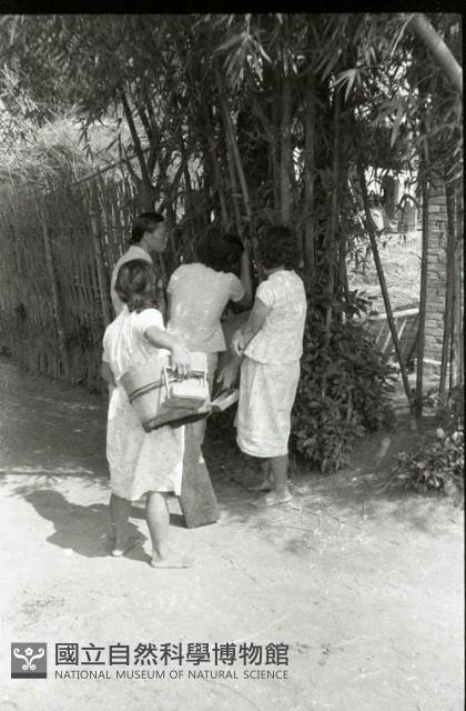 1950至2006年臺灣常民生活藏品圖，第1張