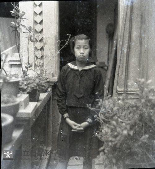 1950至2006年臺灣常民生活藏品圖，第1張