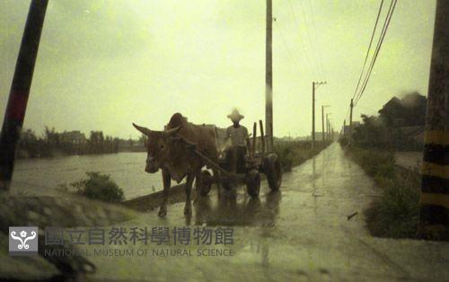 Accession Number:MP2007011349 Collection Image