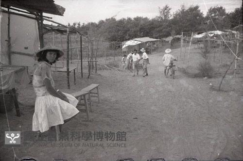 1950至2006年臺灣常民生活藏品圖，第1張