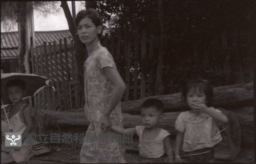 1950至2006年臺灣常民生活藏品圖，第1張