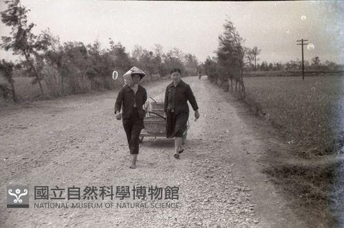1950至2006年臺灣常民生活藏品圖，第1張