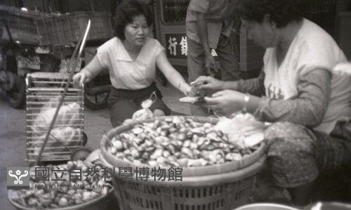 1950至2006年臺灣常民生活藏品圖，第1張