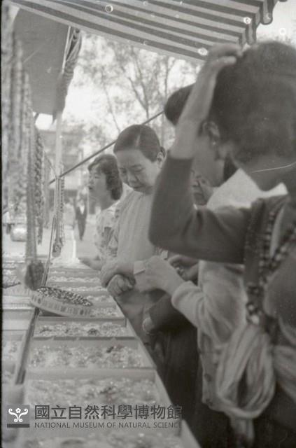 1950至2006年台灣常民生活藏品圖，第1張