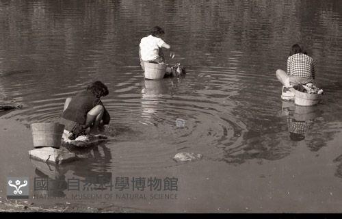 1950至2006年臺灣常民生活 藏品圖，第1張