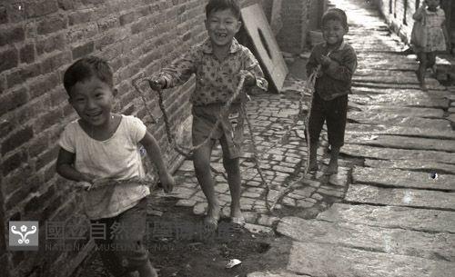 1950至2006年臺灣常民生活藏品圖，第1張