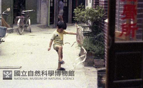 1950至2006年臺灣常民生活藏品圖，第1張