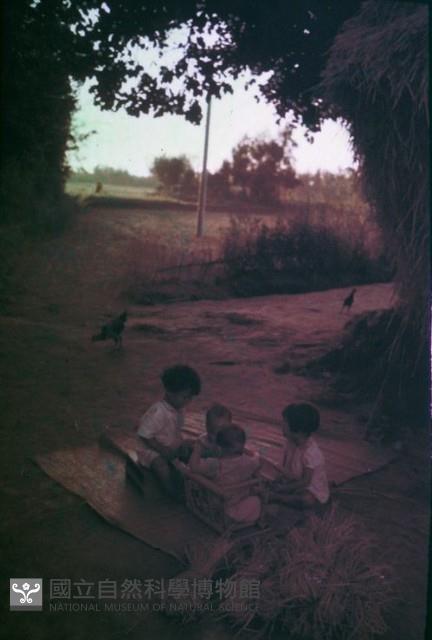 1950至2006年臺灣常民生活藏品圖，第1張