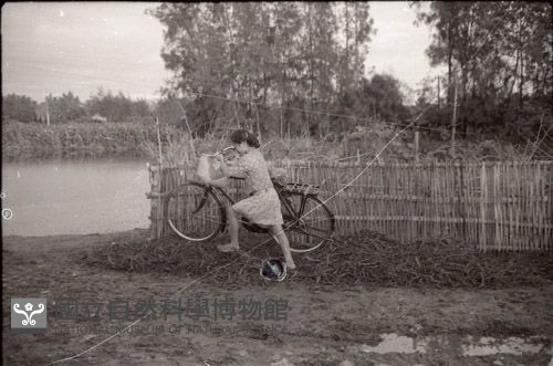 1950至2006年臺灣常民生活藏品圖，第1張