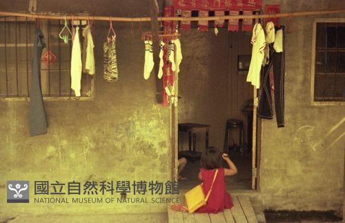 1950至2006年臺灣常民生活藏品圖，第1張