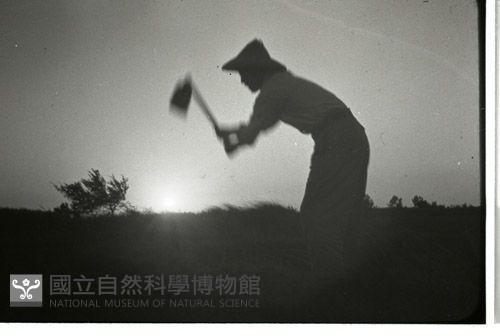 1950至2006年臺灣常民生活藏品圖，第1張