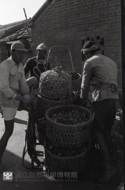 1950至2006年臺灣常民生活藏品圖，第1張