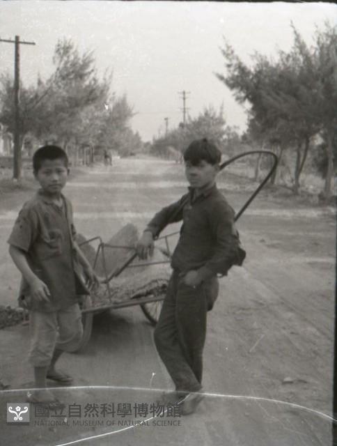 1950至2006年台灣常民生活藏品圖，第1張