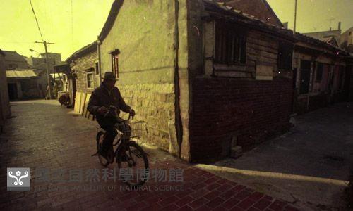 1950至2006年臺灣常民生活藏品圖，第1張