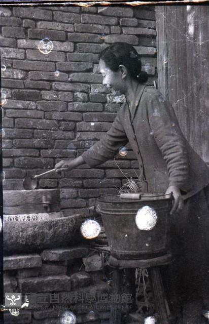 1950至2006年臺灣常民生活藏品圖，第1張