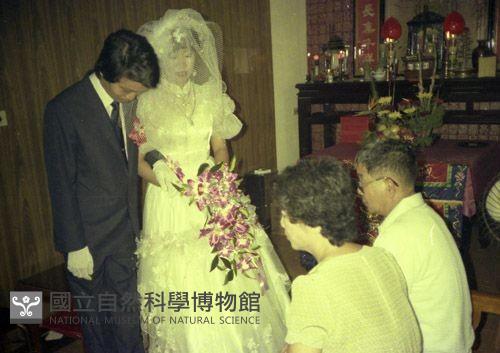 1950至2006年臺灣常民生活藏品圖，第1張