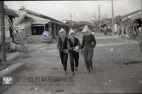 1950至2006年臺灣常民生活藏品圖，第1張